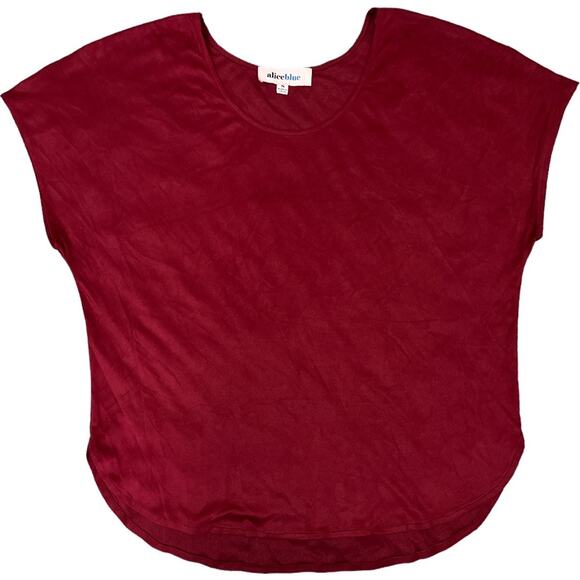 Alice Blue SMALL Short Sleeve Round High-Low Hem Faux Suede Top - Stitch Fix - Picture 6 of 7